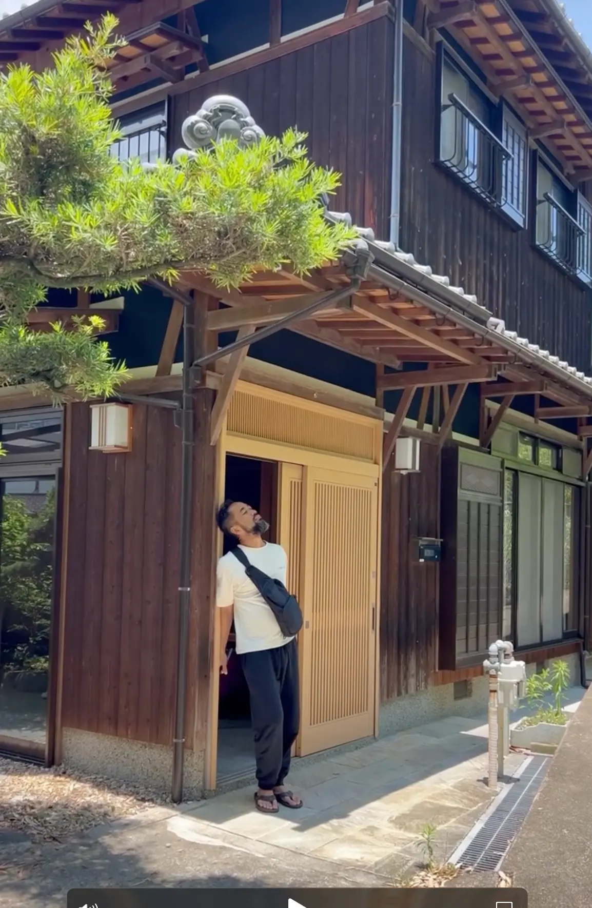 Traditional wooden Japanese house entrance with tiled roof and pine tree